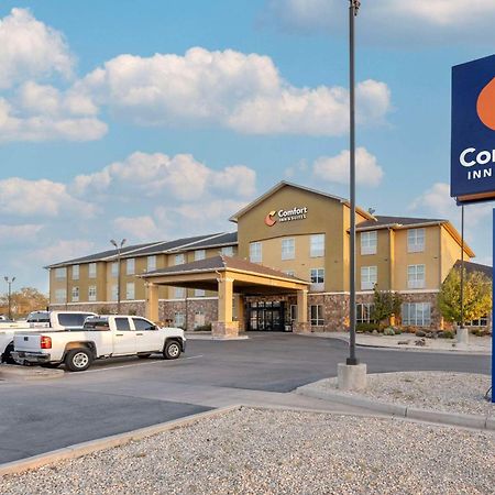 Comfort Inn & Suites Артижа Екстериор снимка