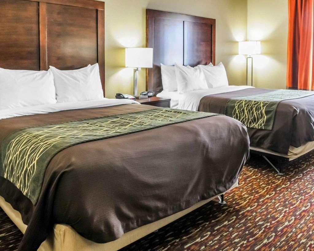 Comfort Inn & Suites Артижа Стая снимка