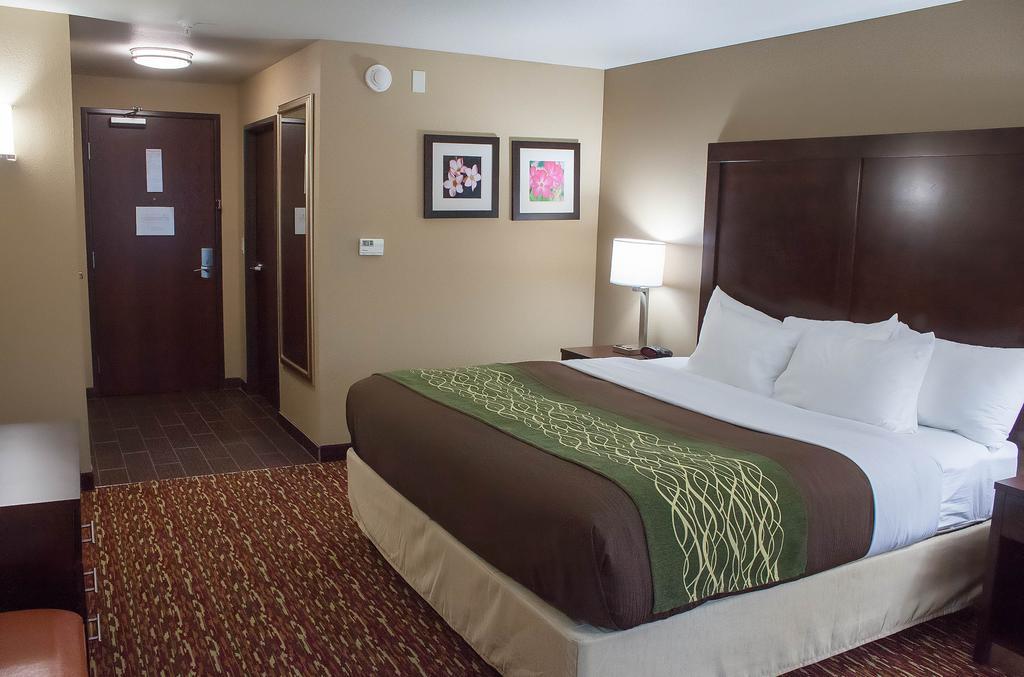 Comfort Inn & Suites Артижа Стая снимка