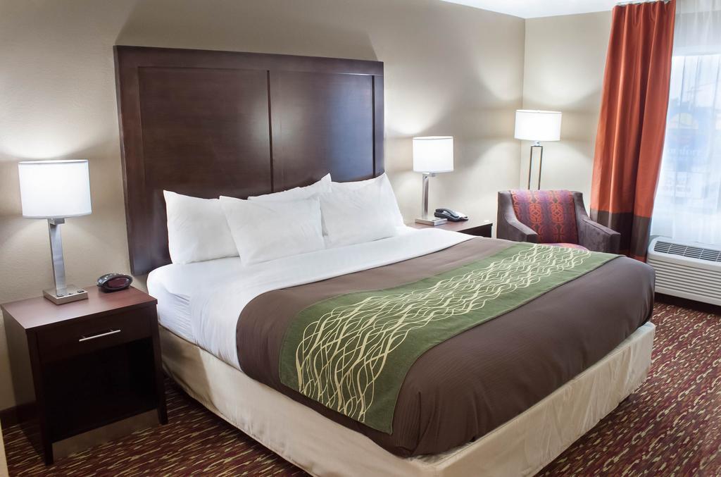 Comfort Inn & Suites Артижа Стая снимка