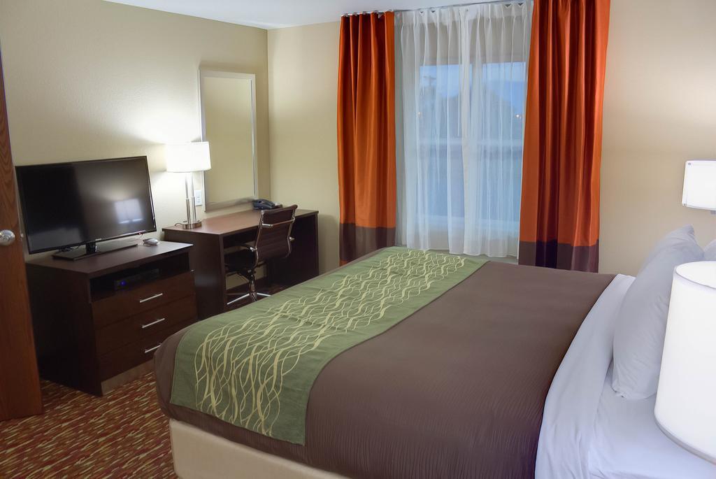 Comfort Inn & Suites Артижа Стая снимка