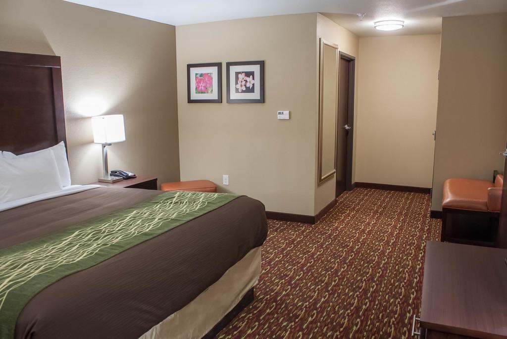 Comfort Inn & Suites Артижа Стая снимка