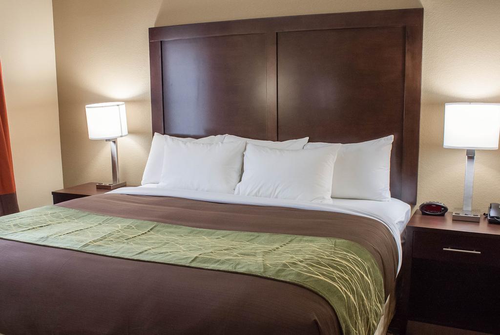 Comfort Inn & Suites Артижа Стая снимка