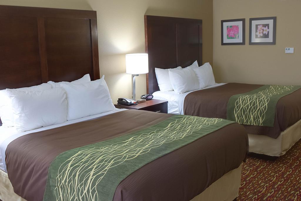 Comfort Inn & Suites Артижа Стая снимка