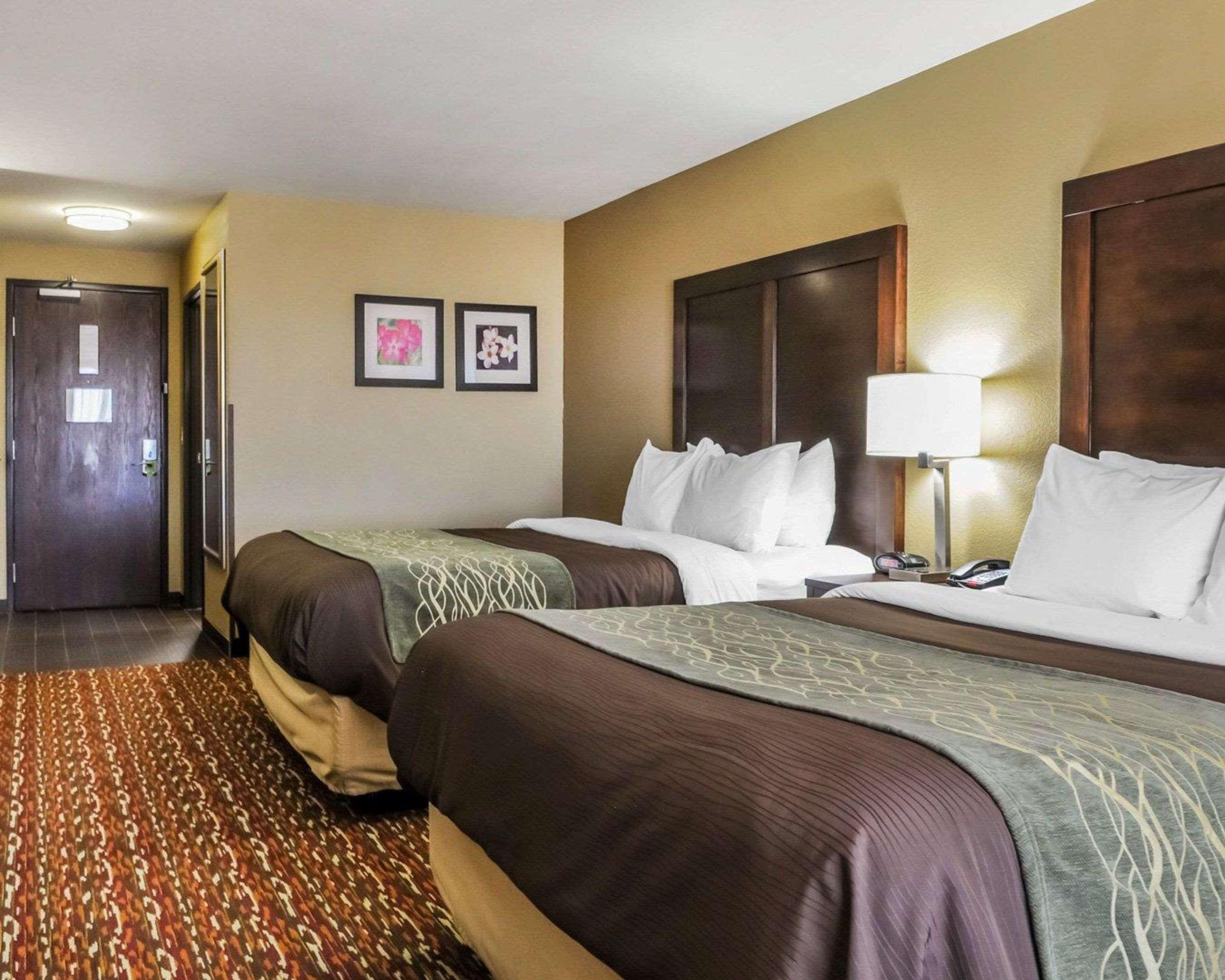 Comfort Inn & Suites Артижа Екстериор снимка