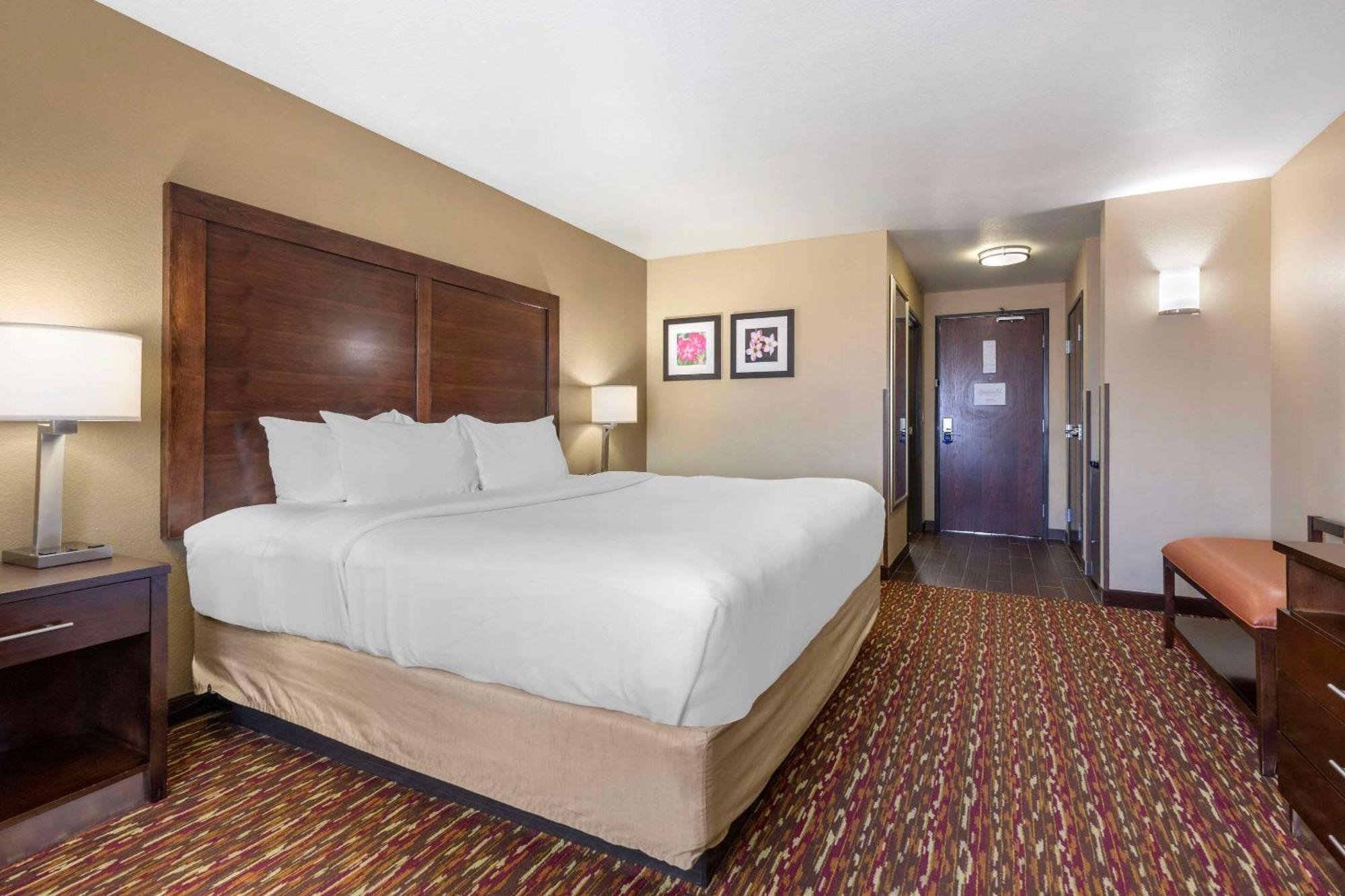 Comfort Inn & Suites Артижа Екстериор снимка