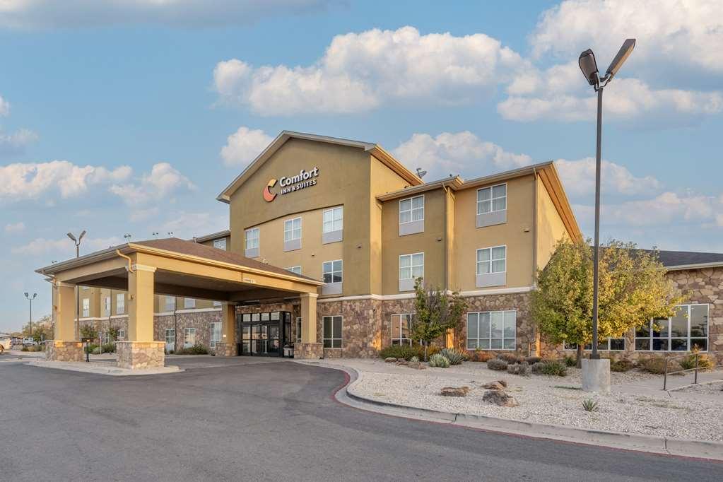 Comfort Inn & Suites Артижа Екстериор снимка