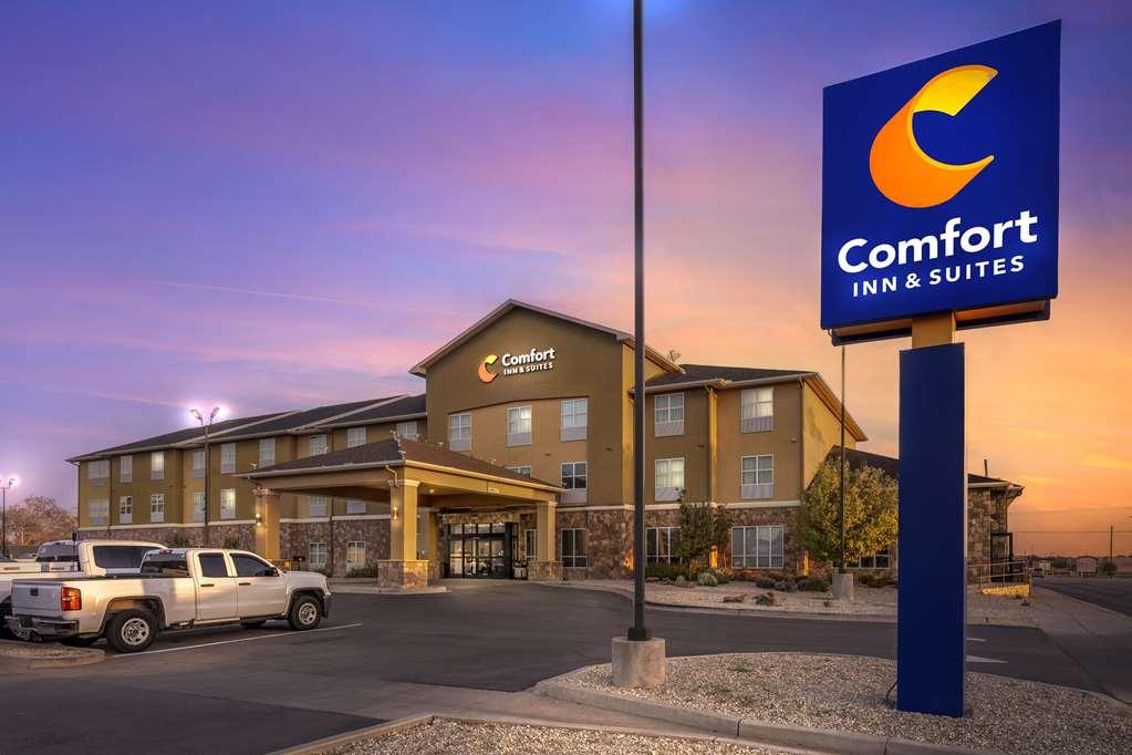 Comfort Inn & Suites Артижа Екстериор снимка